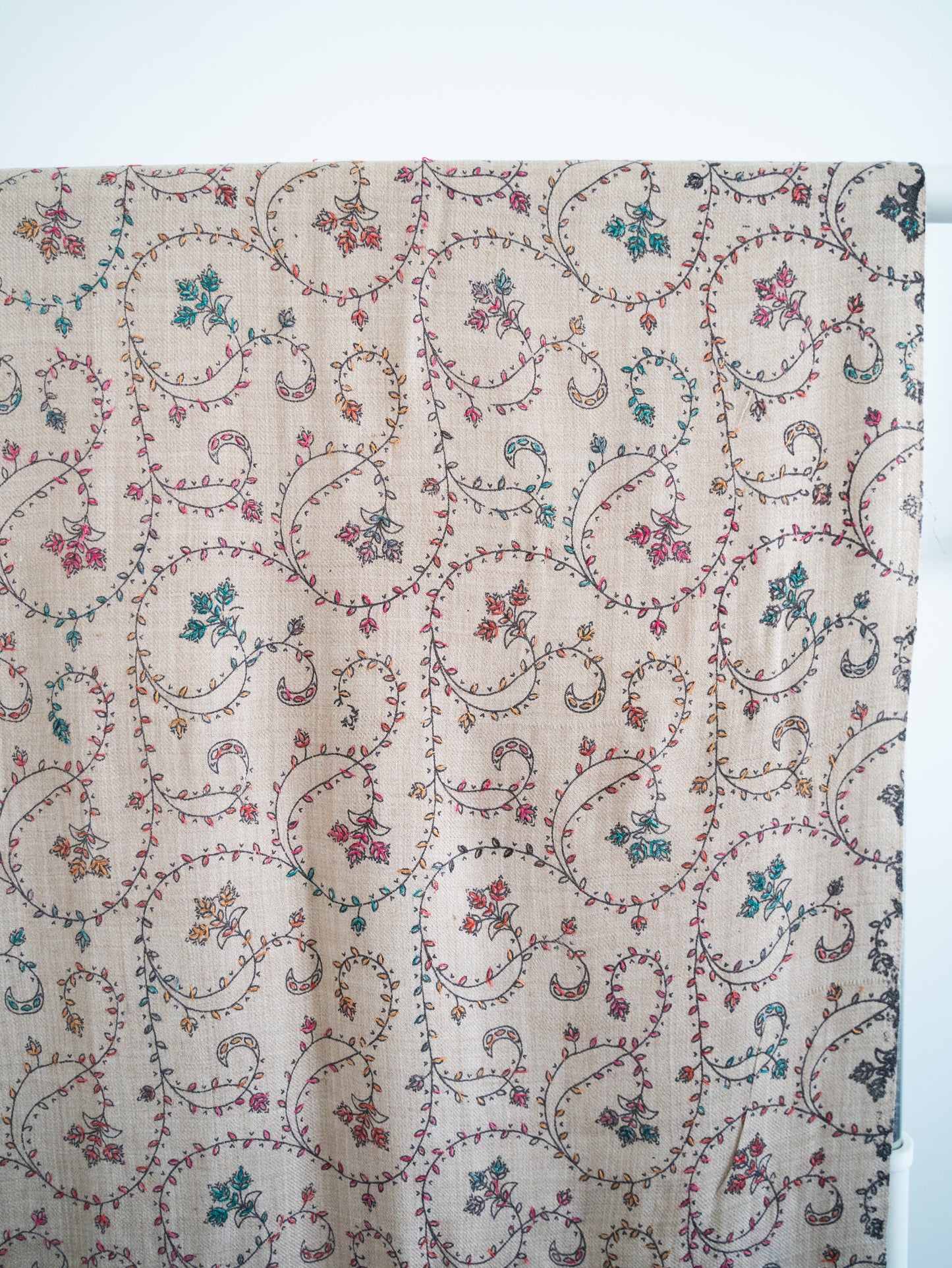 Nisha Shawl